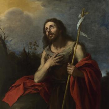Saint John the Baptist in the Wilderness