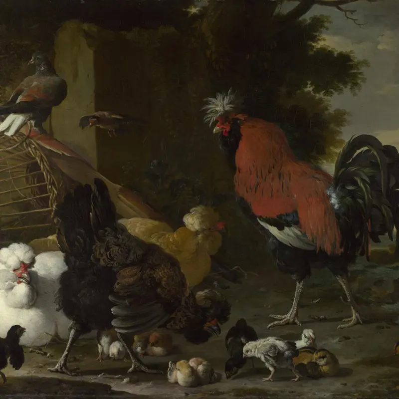 A Cock, Hens and Chicks