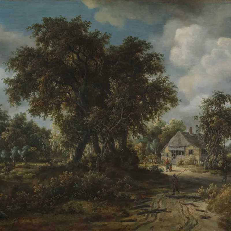 A Woody Landscape