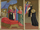 The Vision of the Dominican Habit