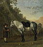 A Boy holding a Grey Horse