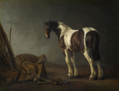 With A Horse