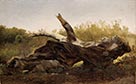 A Fallen Tree Trunk