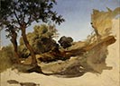 Landscape with Trees and Rocks