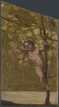 Annibale Carracci: 'Silenus gathering Grapes'