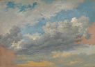 Sky Study with Birds
