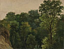Tree study