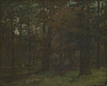 In the Forest