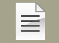 Document Icon