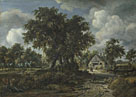 A Woody Landscape