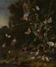 Birds, Butterflies and a Frog among Plants and Fungi