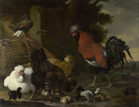 Melchior d'Hondecoeter: 'A Cock, Hens and Chicks'