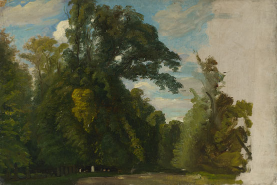 Paul Huet: 'Trees in the Park at Saint-Cloud'
