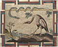 Crane, Python and Lizard