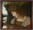 Narcissus