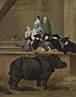 Exhibition of a Rhinoceros at Venice