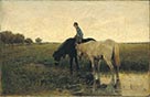 Watering Horses