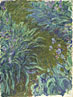Irises