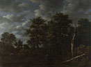 A Pool surrounded by Trees