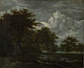 The Skirts of a Forest