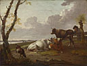 Cattle