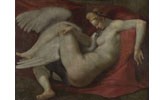 Michelangelo collection