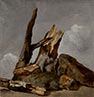 Rocks, Tree Trunks and Branches