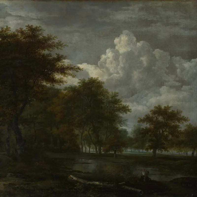 The Skirts of a Forest