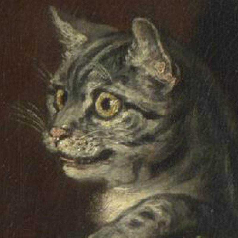 Cats in the collection