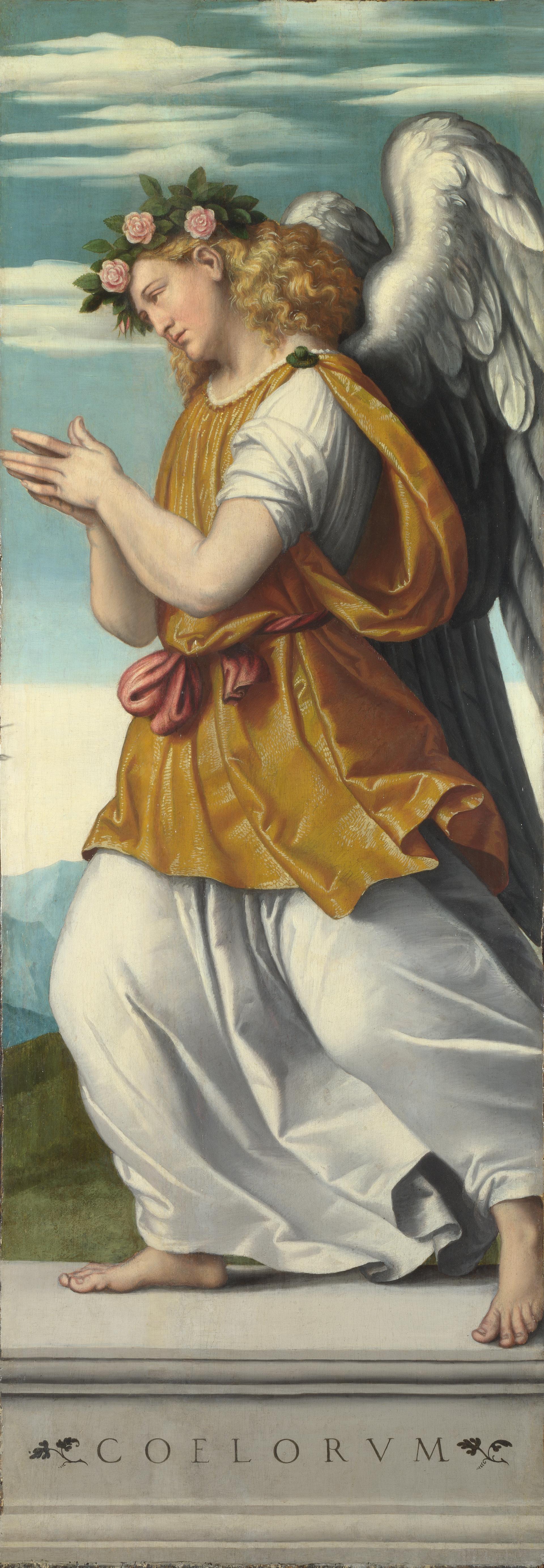 Moretto da Brescia An Adoring Angel NG2090 National Gallery