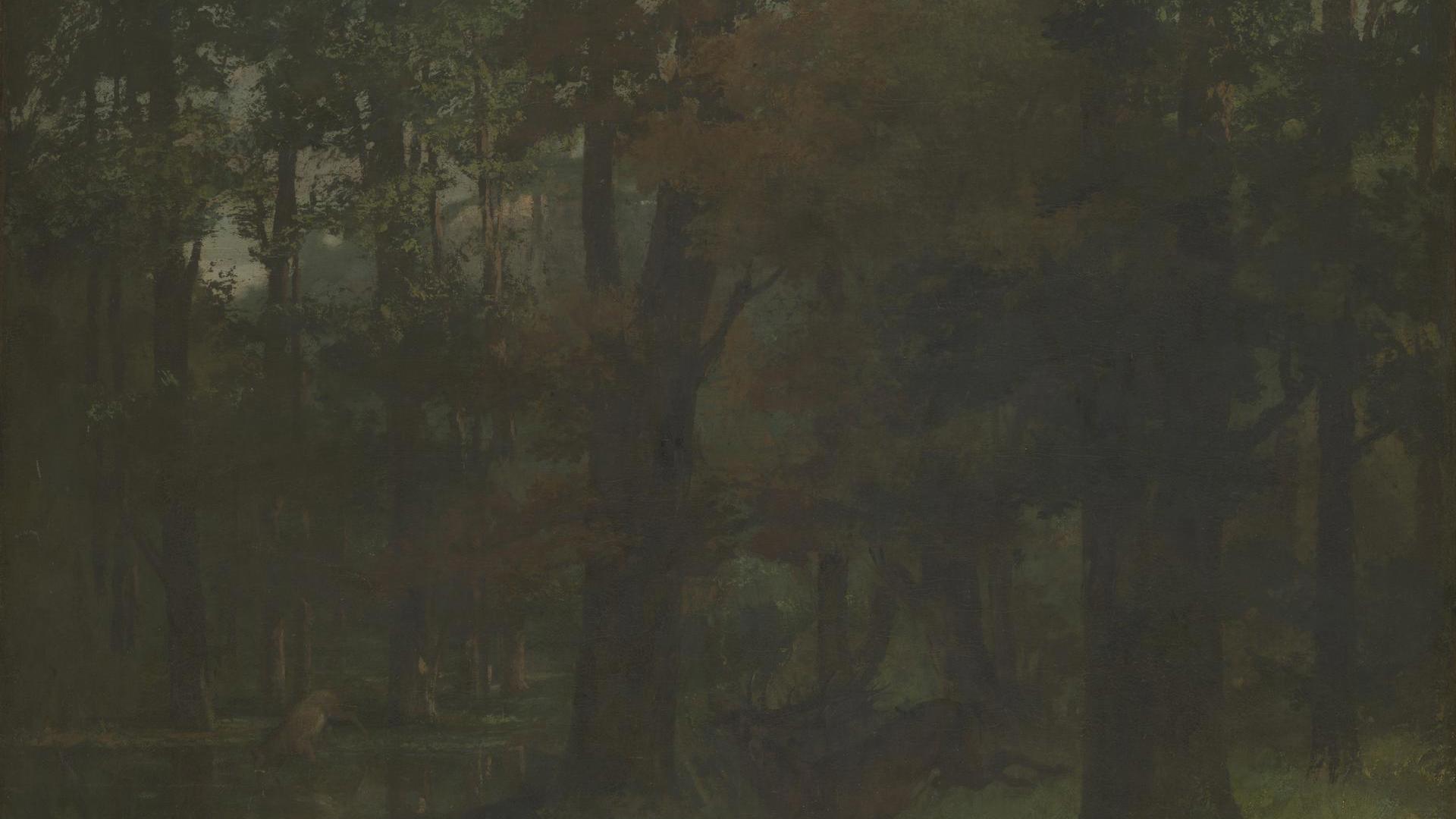 Gustave Courbet In The Forest Ng3241 National Gallery London