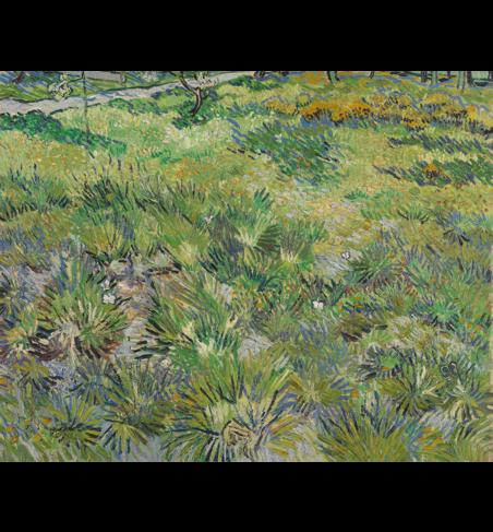 Vincent van Gogh, 'Long Grass with Butterflies', 1890