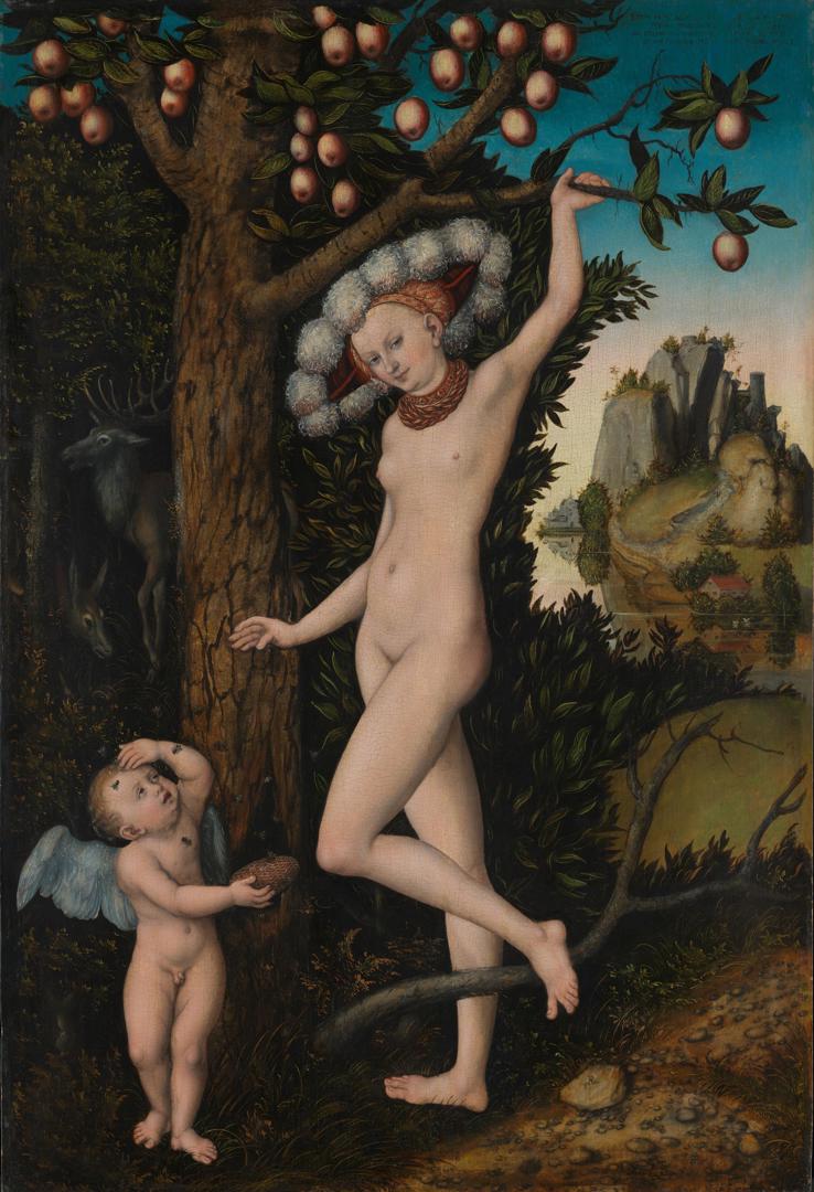 Cupid complaining to Venus by Lucas Cranach the Elder