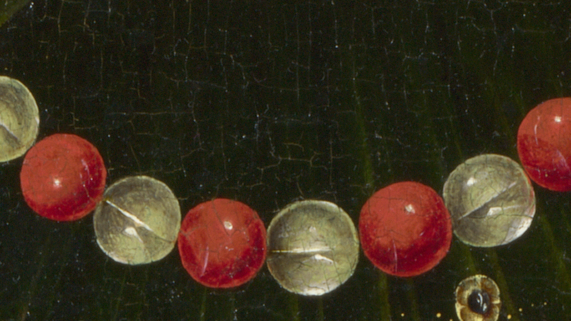 Detail of Cosimo Tura, 'A Muse (Calliope?)' (detail), probably 1455–60. Coral and crystal beads