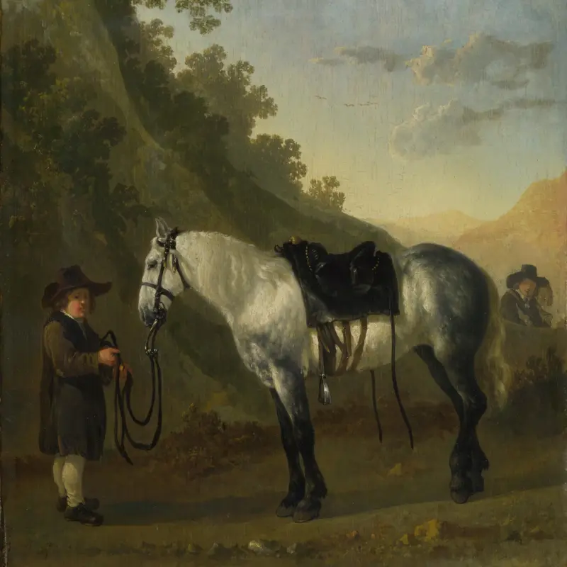 A Boy holding a Grey Horse