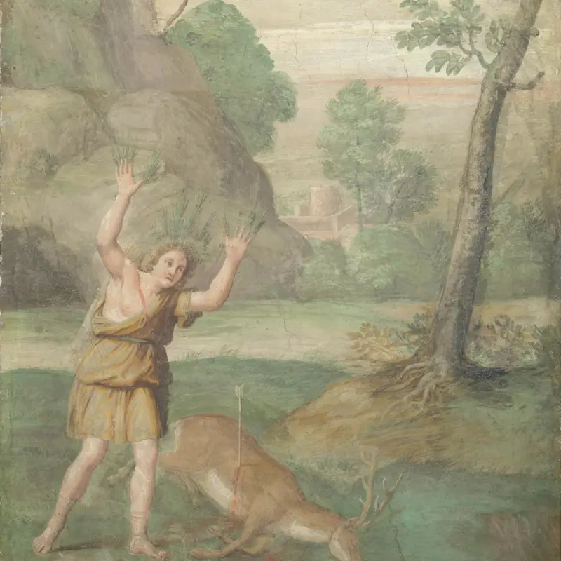 The Transformation of Cyparissus