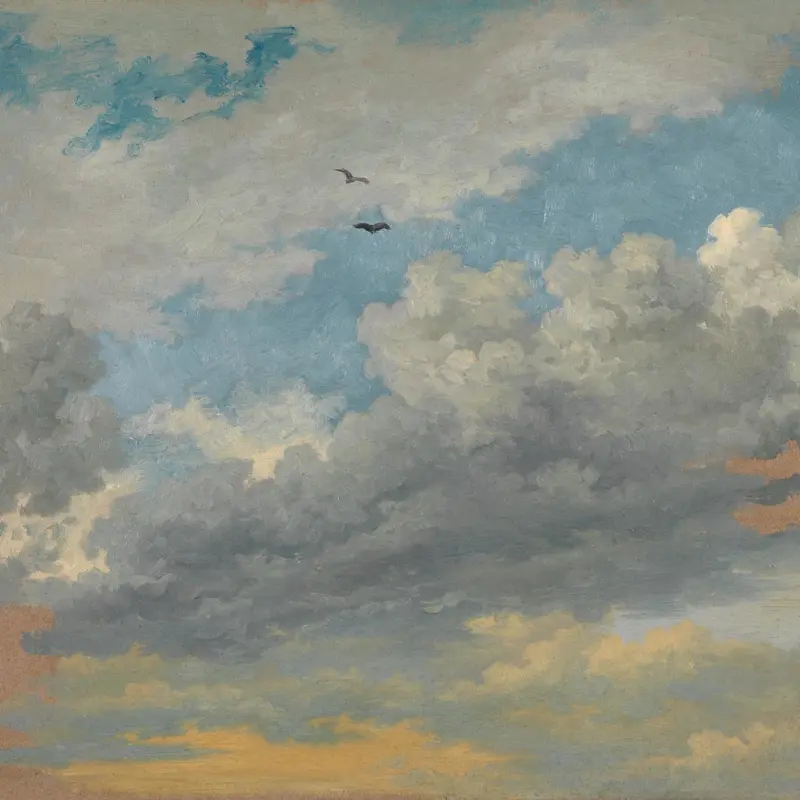 Sky Study with Birds