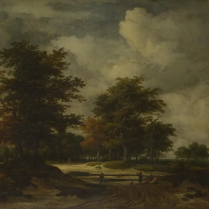 A Road leading into a Wood