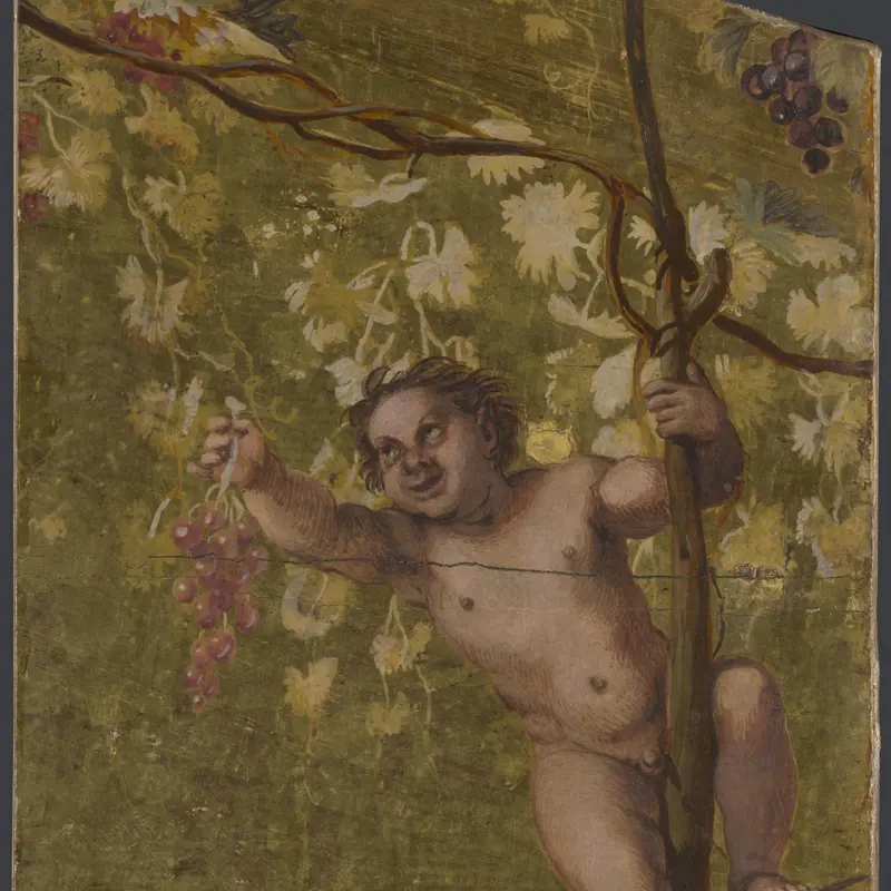 Young Satyr gathering Grapes