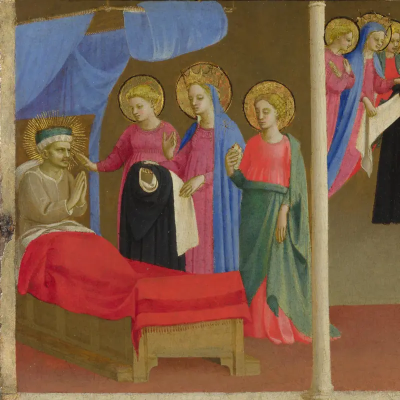 The Vision of the Dominican Habit