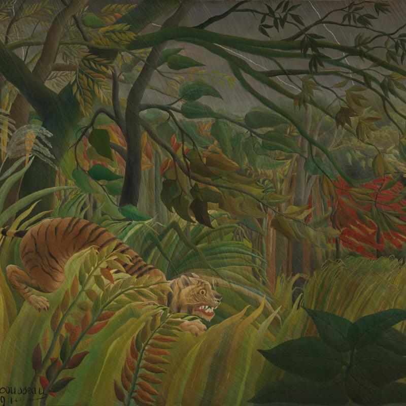 Surprised by a tiger