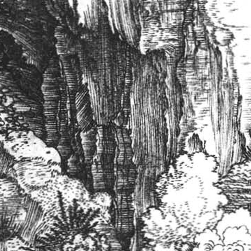 Introduction to Dürer